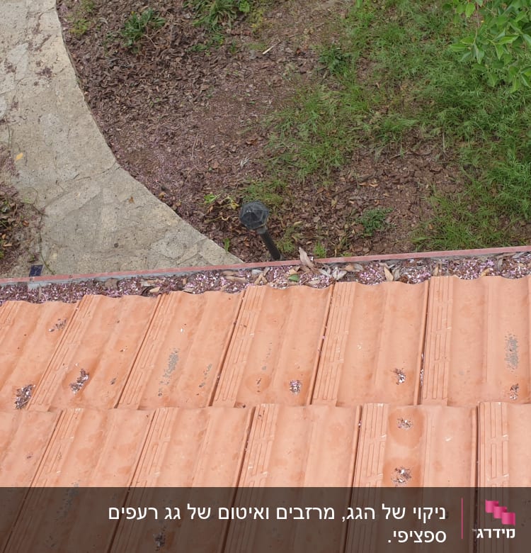 רעפים כתומים עם עלים וענפים על הגג